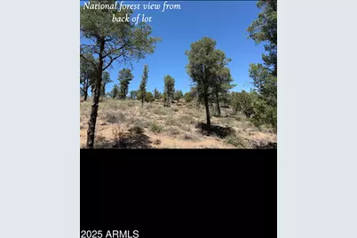 1115 N Scenic Drive, Payson, AZ 85541 - Photo 7