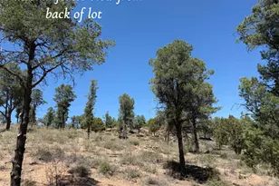 1115 N Scenic Dr, Payson, AZ 85541 - Photo 7