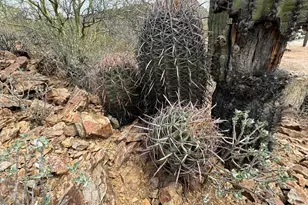 42213 N 3rd St, Phoenix, AZ 85086 - Photo 45