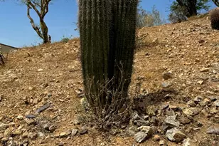 42213 N 3rd St, Phoenix, AZ 85086 - Photo 37