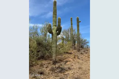 42213 N 3rd Street, Phoenix, AZ 85086 - Photo 5