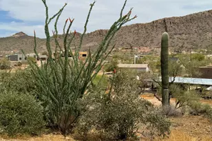 42213 N 3rd St, Phoenix, AZ 85086 - Photo 15