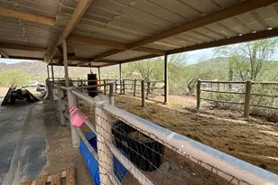 42213 N 3rd St, Phoenix, AZ 85086 - Photo 41