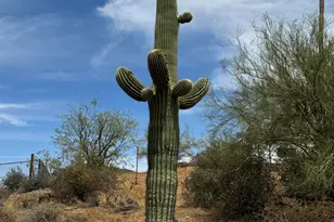 42213 N 3rd St, Phoenix, AZ 85086 - Photo 31