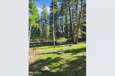 6 County Road 1007 -- #6, Greer, AZ 85927 - Photo 13