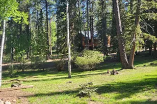 6 County Road 1007 --, Greer, AZ 85927 - Photo 13