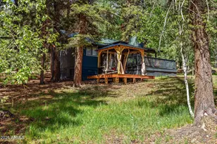 6 County Road 1007 --, Greer, AZ 85927 - Photo 5