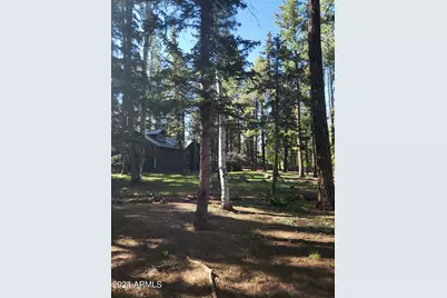 6 County Road 1007 -- #6, Greer, AZ 85927 - Photo 17