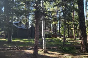 6 County Road 1007 --, Greer, AZ 85927 - Photo 17