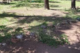 6 County Road 1007 --, Greer, AZ 85927 - Photo 15