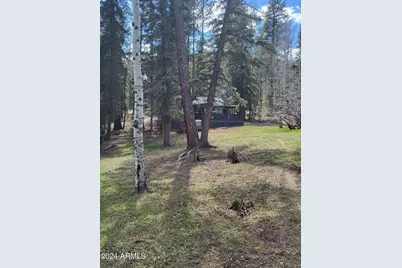 6 County Road 1007 -- #6, Greer, AZ 85927 - Photo 11