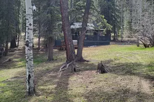 6 County Road 1007 --, Greer, AZ 85927 - Photo 11