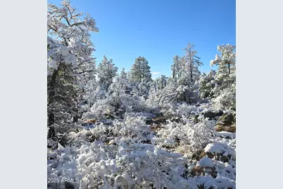 23 N Ike Clark Parkway #C1-C2, Young, AZ 85554 - Photo 15