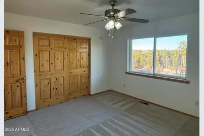 847 Wilderness Trail, Show Low, AZ 85901 - Photo 19