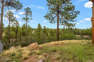 847 Wilderness Trail, Show Low, AZ 85901 - Photo 33