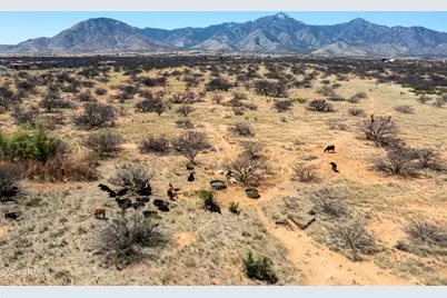 38 Acres 3 Canyons Boulevard #P, Hereford, AZ 85615 - Photo 1