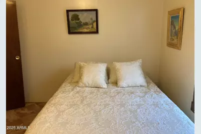 3729 S Towner Avenue, Naco, AZ 85620 - Photo 29