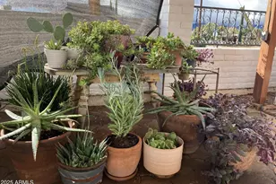 3729 S Towner Ave, Naco, AZ 85620 - Photo 45