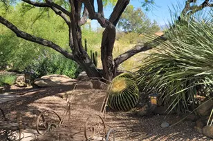 55823 N 329th Dr, Wickenburg, AZ 85390 - Photo 33