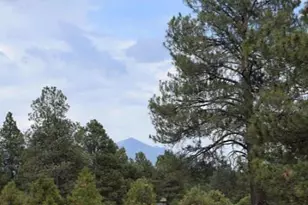 13957 E Wild Bill Rd, Parks, AZ 86018 - Photo 11