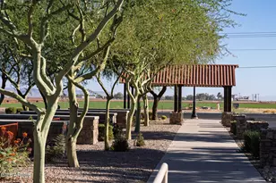 18763 N Avelino Dr, Maricopa, AZ 85138 - Photo 29