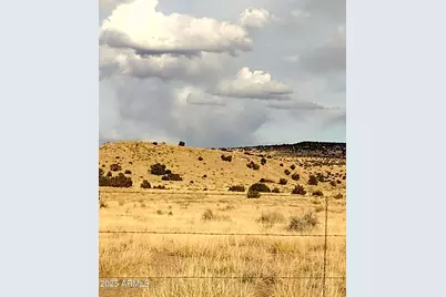 Lot 95 River Springs Ranch -- #095, Saint Johns, AZ 85936 - Photo 23