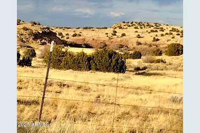 Lot 95 River Springs Ranch -- #095, Saint Johns, AZ 85936 - Photo 25