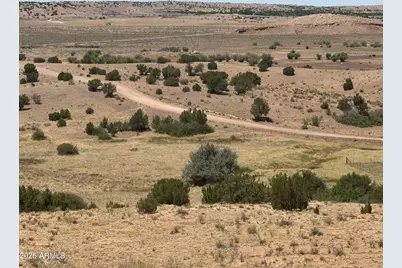 Lot 95 River Springs Ranch -- #095, Saint Johns, AZ 85936 - Photo 3