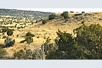 Lot 95 River Springs Ranch -- #095, Saint Johns, AZ 85936 - Photo 19