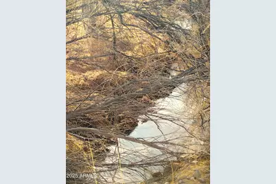 Lot 95 River Springs Ranch -- #095, Saint Johns, AZ 85936 - Photo 13