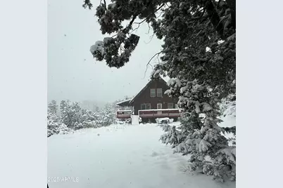 6475 E Paymaster Lane, Crown King, AZ 86343 - Photo 3