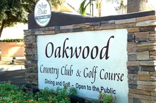 9638 E Tranquility Way, Sun Lakes, AZ 85248 - Photo 35