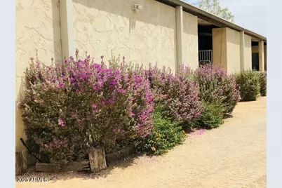 31055 N 56th Street, Cave Creek, AZ 85331 - Photo 45