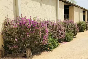 31055 N 56th St, Cave Creek, AZ 85331 - Photo 45