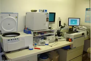 31055 N 56th St, Cave Creek, AZ 85331 - Photo 17