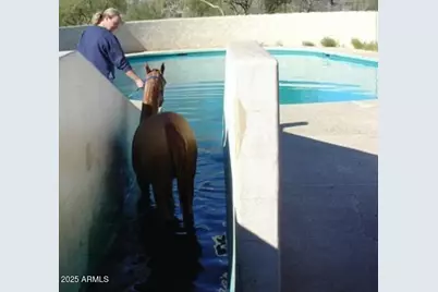31055 N 56th Street, Cave Creek, AZ 85331 - Photo 31