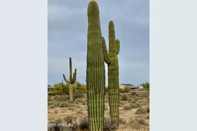 27211 N 67th Street #B2, Scottsdale, AZ 85266 - Photo 7