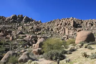 25572 N 113th Way, Scottsdale, AZ 85255 - Photo 71