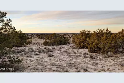 Lot 78 Witch Well Ranches -- #78, Saint Johns, AZ 85936 - Photo 9