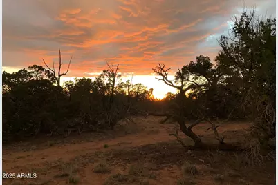 9 County Road N7340 -- #14, Saint Johns, AZ 85936 - Photo 3