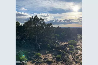 9 County Road N7340 -- #14, Saint Johns, AZ 85936 - Photo 7