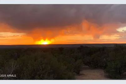 9 County Road N7340 -- #14, Saint Johns, AZ 85936 - Photo 13