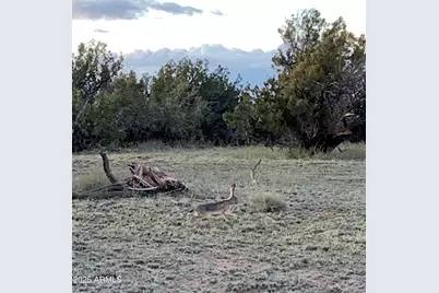 9 County Road N7340 -- #14, Saint Johns, AZ 85936 - Photo 19
