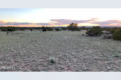 9 County Road N7340 -- #14, Saint Johns, AZ 85936 - Photo 25