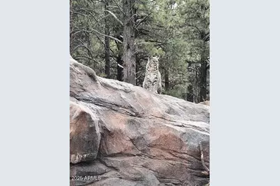 4182 E Palomar Drive #12, Williams, AZ 86046 - Photo 9