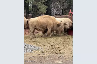 4182 E Palomar Drive #12, Williams, AZ 86046 - Photo 7