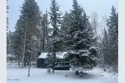 6 County #1007 Road, Greer, AZ 85927 - Photo 27