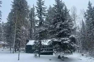 6 County Rd #1007, Greer, AZ 85927 - Photo 27