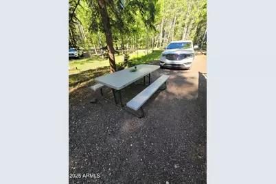 6 County #1007 Road, Greer, AZ 85927 - Photo 23