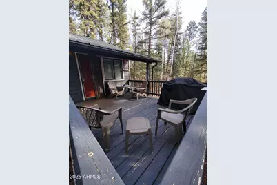 6 County #1007 Road, Greer, AZ 85927 - Photo 3